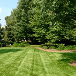 Things to Consider When Choosing a Landscape Designer