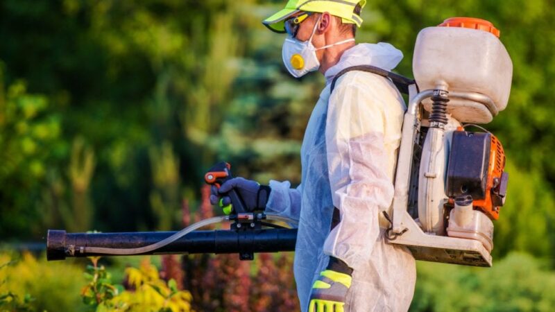 Pest Control in Saskatoon