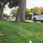 Protect Your Yard With Reliable Weed Control Services in Saskatoon