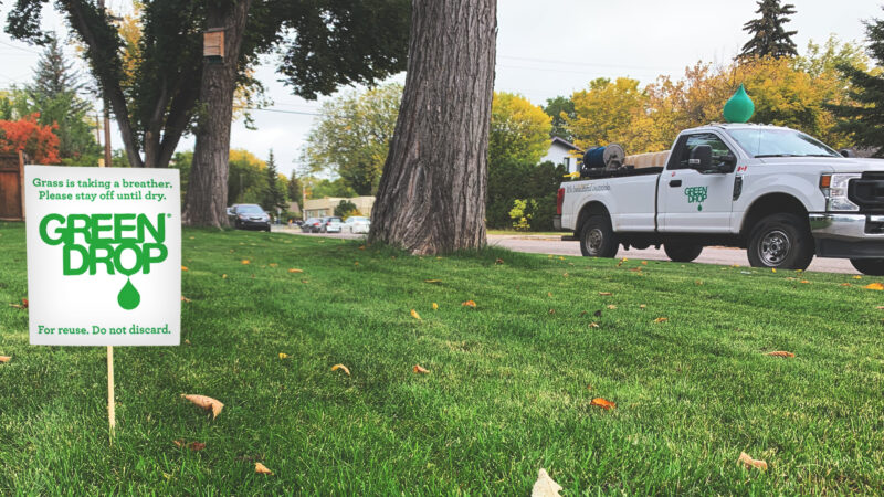 Protect Your Yard With Reliable Weed Control Services in Saskatoon