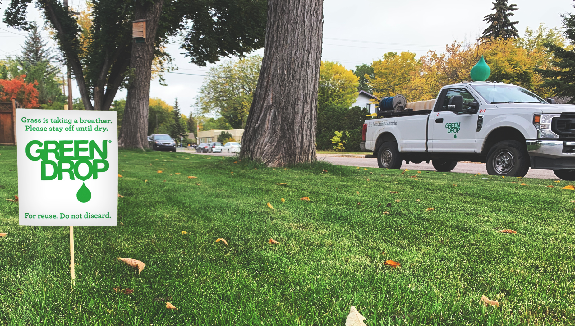 weed control service in Saskatoon